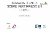 JORNADA TÉCNICA SOBRE FERTIRRIEGO EN OLIVAR ZÚJAR, …altiplanogranada.org/wp-content/uploads/2017/04/ponencia_Jornada-Riego-Localizado...• problemas de atranques en las tuberias.