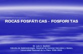 ROCAS FOSFÁTICAS TICAS -- FOSFORITASFOSFORITAScuencas.fcien.edu.uy/cursos/materiales/fosforitas.pdf · 2013-01-25 · La acumulación en el fondo marino de fosforita se ppproduce