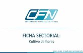 Presentación de PowerPoint - CFN · 2017-10-31 · CULTIVO DE FLORES La flora ecuatoriana es considerada una de las mejores del mundo, la variedad de flores que se cultivan cautivan