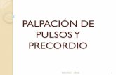 PALPACIÓN DE PULSOS Y PRECORDIOacademia.utp.edu.co/.../2012/07/PALPACION-DE-PULSO-Y-PRECORDIO-FK.pdf · Taquifigmia Infusiones, (mate café té chocolate – cigarrillo, farmacos