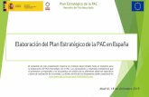 Elaboración del Plan Estratégico de la PAC en España · Plan Estratégico de la PAC Reunión del Partenariado Elaboración del Plan Estratégico de la PAC en España Madrid, 18