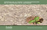 TENENCIA DE LA TIERRA Y - FUNDE · Tenencia de la tierra y democratización de la propiedad en El Salvador 7 La Reforma Agraria ha actuado como mecanismo de redistribución de la