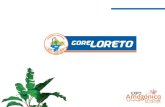 Loreto - ProInversion PPT Proyectos Loreto.pdf · loreto, dpto. de loreto pip 2327139 (antes código snip 363624): mejoramiento y construccion de la carretera jenaro herrera –colonia