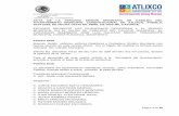 AYUNTAMIENTO CONSTITUCIONAL ATLIXCO, PUE. …transparencia.atlixco.gob.mx/Atlixco/ViejasLeyes/Articulo-11-y-17/Actas_de_Cabildo/...secretaria del ayuntamiento página 1 de 99 acta