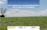 Los impactos socioambientales de la soja en Paraguayextractivismo.com/wp-content/uploads/2016/07/...meno ocurre con el Chaco: la soja que viene de los campos más cercanos a la frontera
