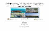 Adaptación al Cambio Climático en Áreas Protegidas del ... ANP Caribe Mexico Final.pdfproyecto “Desarrollo de Programas Piloto de Adaptación al cambio climático en Áreas Naturales