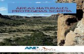 Áreas Naturales Protegidas Scriptaareas-naturales-protegidas.org/scripta/Volumen07/EDITORIAL.pdf · ecosistémicos en Áreas Naturales Protegidas de la Sierra Madre de Chiapas, evaluando