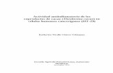 Actividad antiinflamatoria de los coproductos de …...iii Actividad antiinflamatoria de los coproductos de cacao (Theobroma cacao) en células humanas cancerígenas (HT-29) Katherine
