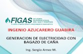INGENIO AZUCARERO GUABIRAfigas.org/v10/wp-content/uploads/Sergio-Arnez.pdf · 2018-11-15 · ingenio azucarero guabira generacion de electricidad con bagazo de caÑa ing. sergio arnez