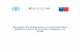 Revisión de programas e instrumentos públicos para el mundo … · 2017-06-29 · 3 Este documento presenta el estudio “Revisión de programas e instrumentos públicos para el