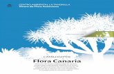 CATÁLOGO DE Flora Canaria - Tenerife · Insular de Flora Autóctona, con información de interés sobre el porte, marco de plantación, descripción de la especie, sus usos tradicionales