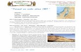 “Israel en ocho días (B)” - Viajes Proximo Oriente · 2018-05-31 · Viajes Próximo Oriente S. L. - CICMA 1.759 C/ Alcalá, nº 302 - Planta 1ª Oficina 3 Madrid 28027 - ESPAÑA