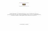 INFORME COMISIONES ACCIDENTALES CONJUNTAS DE SEGUIMIENTO A LA PRIMERA LÍNEA DEL …concejodebogota.gov.co/cbogota/site/artic/20190116/... · 2019-01-16 · del periodo 2018 – 2041,