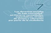 Los derechos sociales “de baja intensidad” en Navarra: … · 2019-10-14 · Informe sobre exclusión y desarrollo social en Navarra 140 pítulo se analizan en detalle las necesidades,