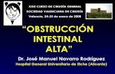 “OBSTRUCCIÓN INTESTINAL ALTA”sociedadvalencianadecirugia.com/wp-content/uploads/2017/03/oia.pdf · Dr. José Manuel Navarro Rodríguez Hospital General Universitario de Elche