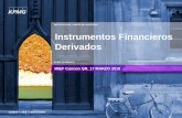 INSTITUTO DEL COMITÉ DE AUDITORÍA Instrumentos Financieros … · 2010-10-15 · 4 ¿Qué son los derivados? Son instrumentos financieros cuyo precio de basa en el cambio en el