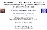 OPORTUNIDADES DE LA BIOENERGÍA Transición Energética y ...cestrada/Conferencias Tabasco Mar 2009... · BioDiesel BioEtanol. Vision 20 years • Given that in 20 years the main