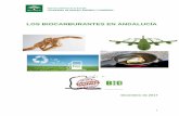 LOS BIOCARBURANTES EN ANDALUCÍA · 2018-02-02 · celulasas integradas o los biocombustibles obtenidos a partir de algas, por las cuales determinadas especies son capaces de producir