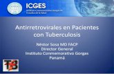 Antirretrovirales en Pacientes con Tuberculosis · Indice • ¿Cuál es el impacto de la TAR en la incidencia de Tuberculosis? • ¿Qué antirretrovirales pueden y no pueden emplearse