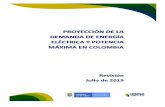PROYECCIÓN DE LA DEMANDA DE ENERGÍA ELÉCTRICA Y …...Proyección de Demanda de Energía Eléctrica y Potencia Máxima en Colombia Revisión Julio de 2019 INTRODUCCIÓN En el presente
