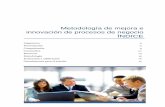 Metodología de mejora e innovación de procesos de negocio …gestor.unir.net/.../procesos/met_mejora_innovacion.pdf · 2014-03-24 · Metodología de mejora e innovación de procesos
