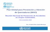 Plan Global para Prevención y Atención de Quemaduras (WHO)conapra.salud.gob.mx/Interior/Documentos/Grupos_Vulnerables/Nov0515/4.pdf · Plan Global para Prevención y Atención de