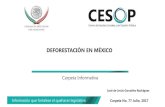 DEFORESTACIÓN EN MÉXICO - Cámara de Diputados · superior al sueldo derivado de actividades agropecuarias. Deforestación en México Importancia del sector forestal Organización