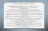 Martín Patricio Muñoz Carman - mdp.gov.py · Postgraduado en Derecho Penal, por la Universidad de . Salamanca. España . Especialista en Ciencias Penales, ... etapas, etapa preparatoria