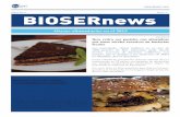 BIOSERnewsbioser.com/wp-content/uploads/2014/06/Newsletter-2014_Bioser.pdfLas ostras también carecían de la documen-tación necesaria para el traslado de este tipo de molusco. ...