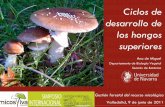Ciclos de desarrollo de los hongos superioresmicosylva.cesefor.com/sites/default/files/comunicacion/docs/de_miguel... · Ciclos de desarrollo de los hongos superiores Gestión forestal