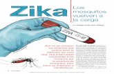 Zika Los mosquitos vuelven a la carga - Revista ¿Cómo ves? · son Aedes vitattus, A. furcife, A. afri-canus, A. luteocephalus y A. aegypti. El tiempo de incubación del virus, es