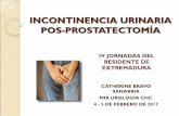 INCONTINENCIA URINARIA POS-PROSTATECTOMÍA · uretra bulbar y en menor medida sobre la uretra membranosa. La tensión debe ser ajustada en el postoperatorio. Las guías de la EUA