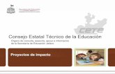 Órgano de consulta, asesoría, apoyo e información de la …edu.jalisco.gob.mx/cepse/sites/edu.jalisco.gob.mx.cepse/... · 2016-11-11 · El Acuerdo 592 por el que se establece