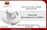 Función Gerencia de Tráfico - Comercio Internacional · Funciones de la Gerencia de Tráfico Selección de Proveedores Administración de Recursos Eficiencia, Control y Coordinación