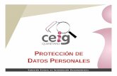 PROTECCIÓN DE DATOS PERSONALES · 2016-07-01 · C OMISIÓN E STATAL DEI NFORMACIÓNG UBERNAMENTAL LEY FEDERAL DE PROTECCIÓN DE DATOS PERSONALES PLAN DE EXPOSICIÓN EN POSESIÓN
