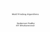 Motif Finding Algorithms Sudarsan Padhy IIIT Bhubaneswarscc/Lecture_material/Motif-finding-algo-ISI.pdf · tag tgt ttc gca tag ggg tga tag tgt acgactgactaaccgacggaagcgact aggattgcctgacggatggcagggatt