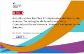 Estudio sobre Perfiles Profesionales del Sector de …...Estudio sobre Perfiles Profesionales del Sector de Nuevas Tecnologías de la Información y Comunicación en Navarra. Nuevos