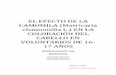EL EFECTO DE LA CAMOMILA (Matricaria chamomilla L.) EN …files.sciencetogether3.webnode.es/200000017-e6910e78cd/MONOGRAFÍA-cristina.pdfescamas que forman la cutícula y permitir