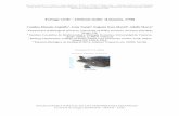 Tortuga verde – Chelonia mydas (Linnaeus, 1758)digital.csic.es/bitstream/10261/108718/4/chemyd_v2.pdf · de nidificación, zonas de convergencia en hábitats pelágicos, y zonas