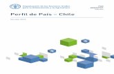 Perfil de País Chile · 2018-12-11 · Clima Dada la ubicación del país y la fuerte influencia que ejercen sobre él el Océano Pacífico, la Corriente de Humboldt, el Anticiclón
