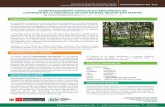 COMPORTAMIENTO FENOLÓGICO PRELIMINAR DE CAPIRONA …repositorio.inia.gob.pe/bitstream/inia/213/1/HD-2-2016-Capirona.pdf · que se encuentra presente en los bosques aluviales y secundarios
