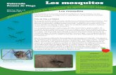 Colorado Los mosquitos - School IPM · 2019-11-14 · producidas por la piel. • Un mosquito bate sus alas 300-600 veces por segundo, lo que hace que el zumbido de adultos. Los mosquitos.