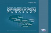 Desafíos y oportunidades en materia de conectividad – Paraguay · conectividad con los mercados mundiales, la dependencia de países vecinos y costeros para la co-nectividad de