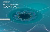 BIG BANG DATA...La revolución de los datos masivos”2013, Turner. VV.AA. “Big Data: A Revolution That Will Transform How We Live, Work, and Think” , 2013, Houghton Mifflin Harcourt.