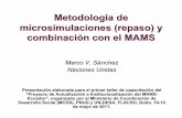 Metodología de microsimulaciones (repaso) y combinación con el … · 2011-11-03 · Metodología de microsimulaciones (repaso) y combinación con el MAMS Marco V. Sánchez Naciones