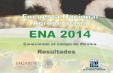 Encuesta Nacional Agropecuaria. ENA 2014 · 2015-08-10 · Encuesta Nacional Agropecuaria 2014 Operativo de campo y tamaño de la muestra Tamaño de la muestra: 75,148 Unidades de