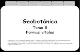 Geobotánica - UM · 2013-02-14 · 3 Introducción Espectros formas Formas funcionales Estratificación Fenología Formas vitales Forma vital o Biotipo: forma de desarrollo que manifiesta