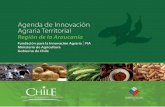 AGENDA DE INNOVACIÓN AGRARIA TERRITORIAL · Mapuche. Con especificidades propias de su naturaleza y desarrollo, cada segmento valora diferenciadamente la innovación como factor