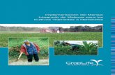 Implementación del Manejo Integrado de Malezas para los ...croplife.org/wp-content/uploads/2014/04/... · Este manual de entrenamiento fue desarrollado a partir de la publicación