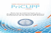 Primer Consenso de Úlceras por Presión - PriCUPP · Úlceras por Presión (PriCUPP), garantizando la participación frecuente y sostenida de sus representantes, apoyando el cumplimiento
